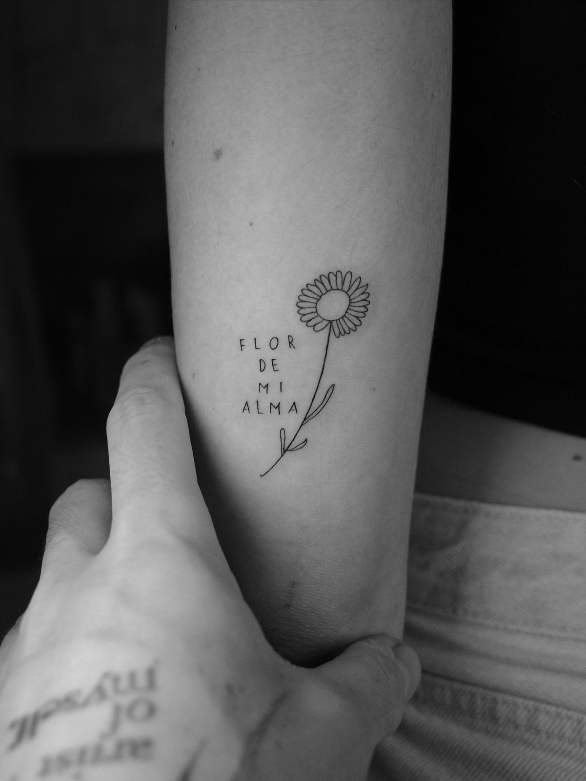 Tarassaco, tatuaggio fine line sull'avambraccio di Mike, STUDIO MIBO