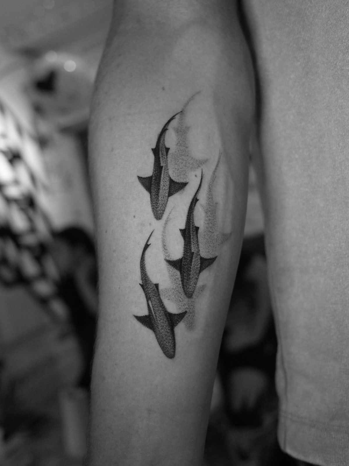 Sharks, micro-realistic tattoo on the forearm by Bobby, STUDIO MIBO