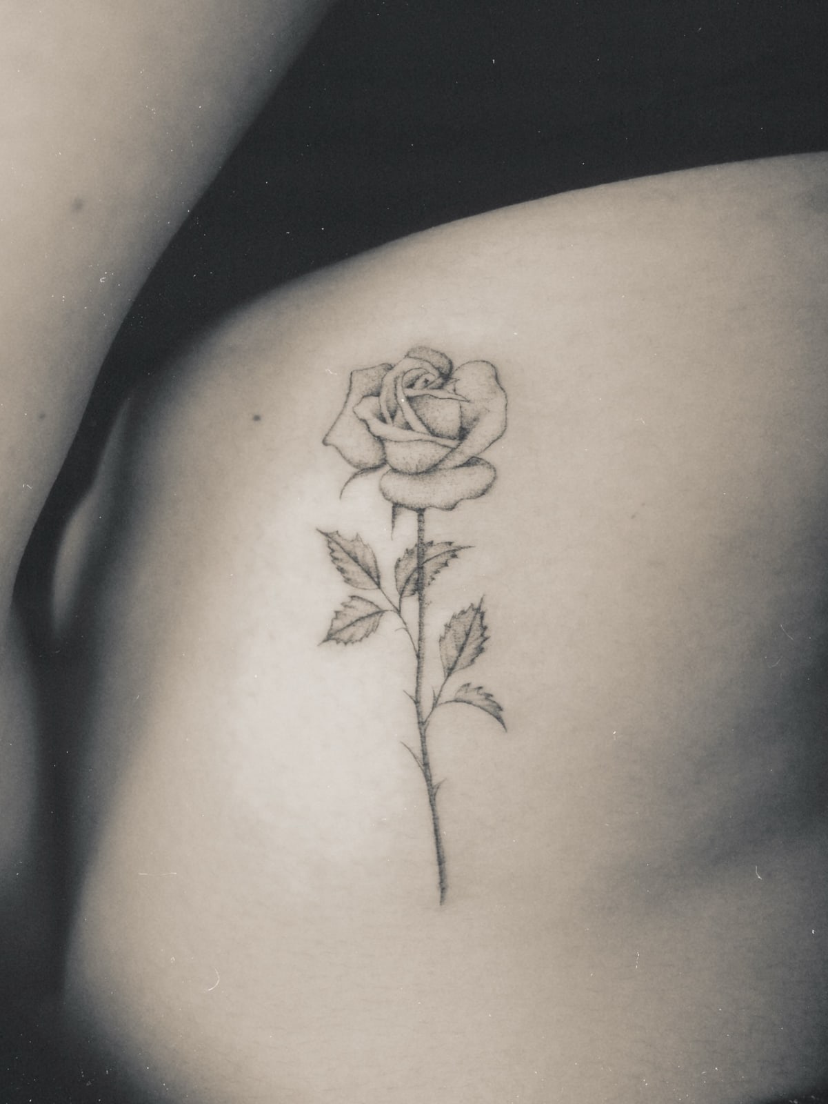 Rose, fine line tattoo on the thigh by Mike, STUDIO MIBO