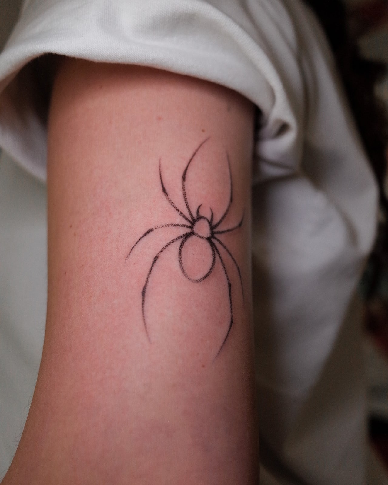 Ragno, tatuaggio fine line sul braccio di Bobby, STUDIO MIBO