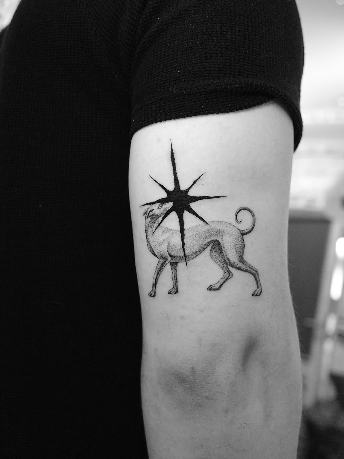 Dog with a star, illustrative tattoo on the upper arm by Bobby, STUDIO MIBO