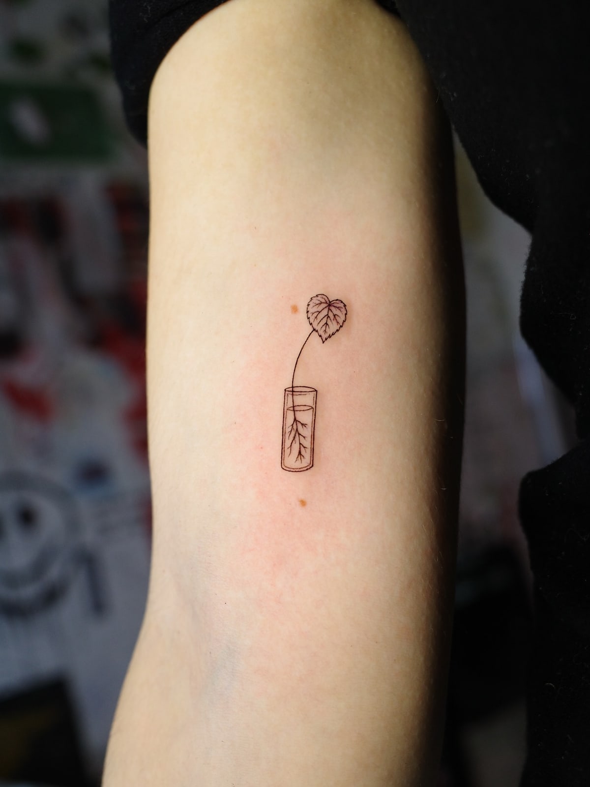 Fiore in bottiglia, tatuaggio fine line sul braccio di Mike, STUDIO MIBO