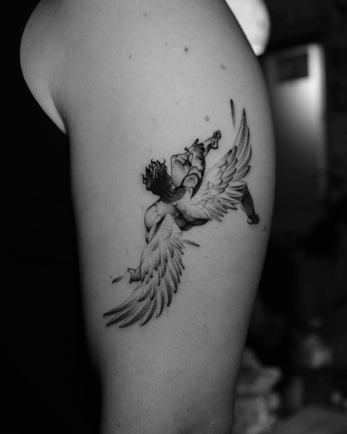 The winged dog, illustrative tattoo on the upper arm by Bobby, STUDIO MIBO
